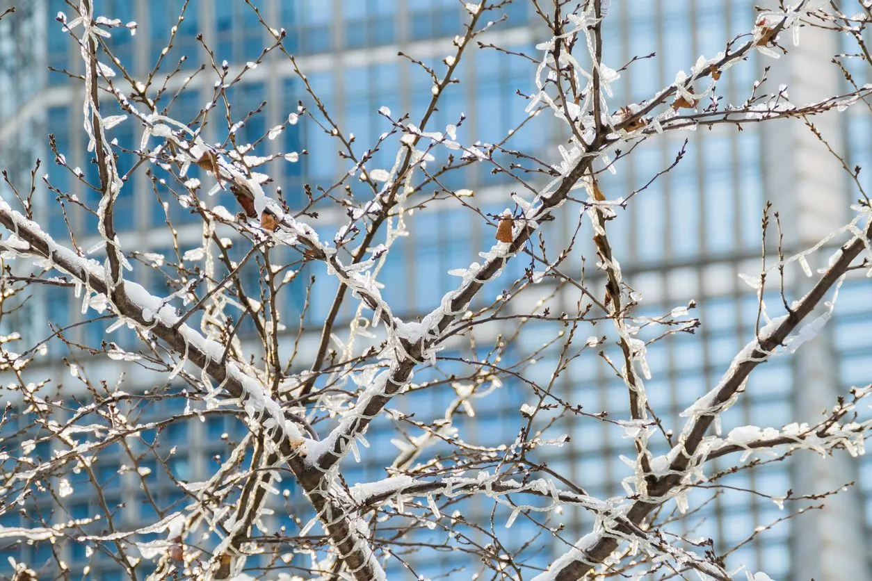 5 High-Impact Energy Efficiency Tips for Large Facilities